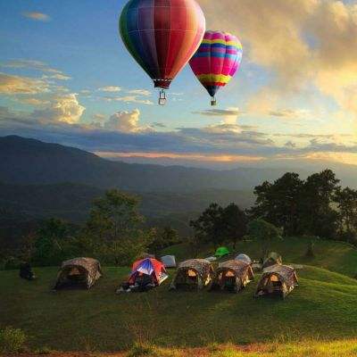 冰火熊猫联网版